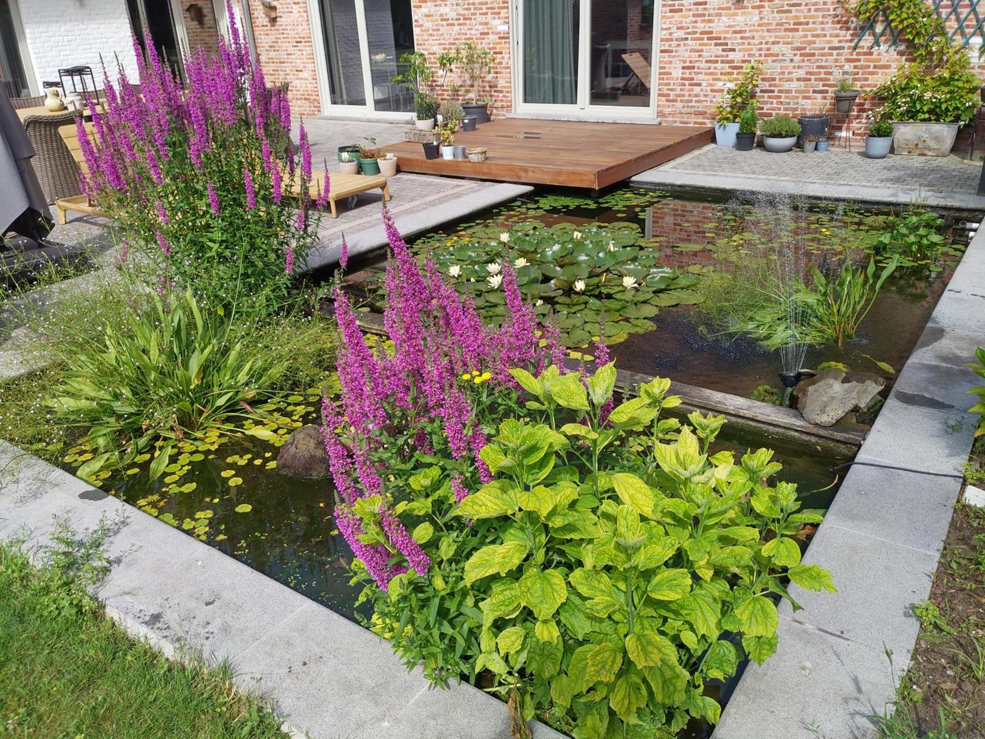 Вилла The Two Oaks - Private Garden For Guests Hertsberge Экстерьер фото